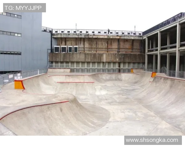 上海滑板队战术分析：盯防策略的成败与启示